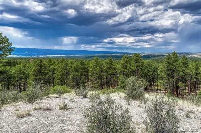6435 Burgess Road, Colorado Springs, CO 80908