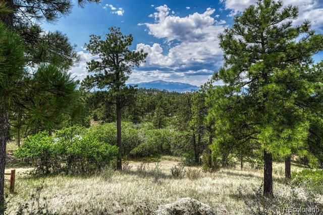 6435 Burgess Road, Colorado Springs, CO 80908