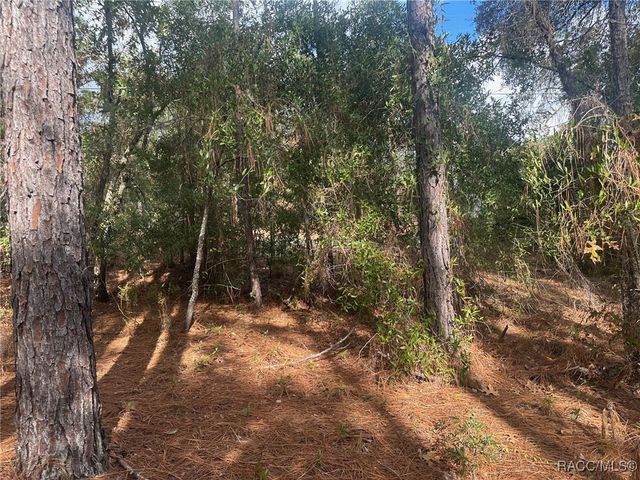 7779 N Cricket Drive, Citrus Springs, FL 34434