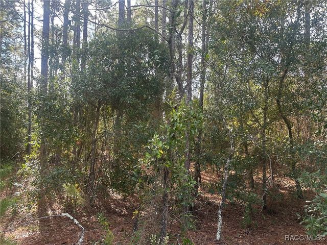 7779 N Cricket Drive, Citrus Springs, FL 34434