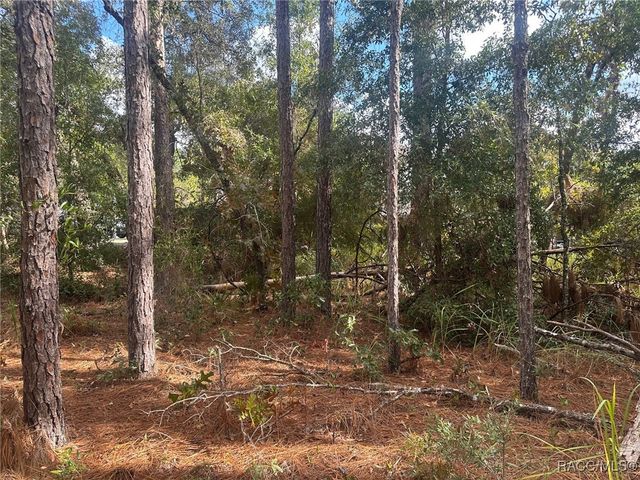 7779 N Cricket Drive, Citrus Springs, FL 34434