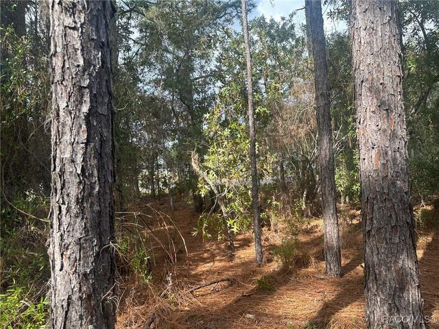 7779 N Cricket Drive, Citrus Springs, FL 34434