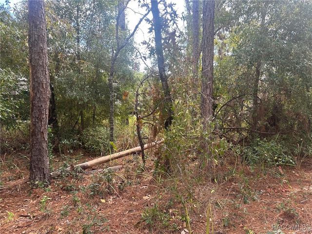 7779 N Cricket Drive, Citrus Springs, FL 34434