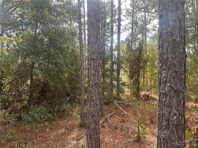 7779 N Cricket Drive, Citrus Springs, FL 34434