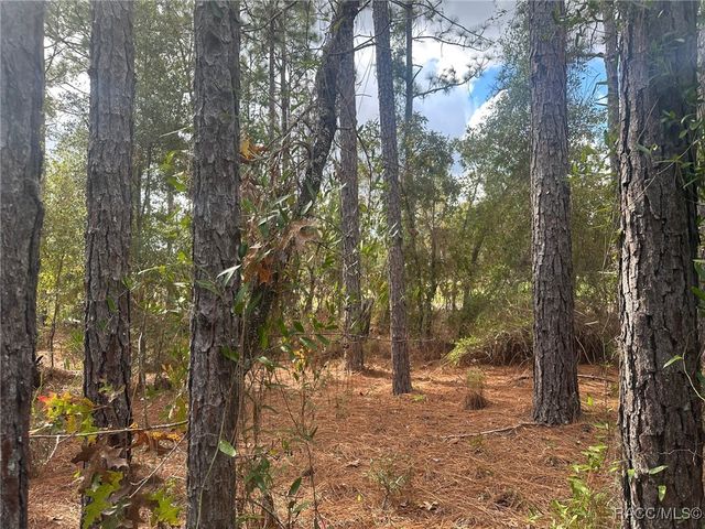 7779 N Cricket Drive, Citrus Springs, FL 34434