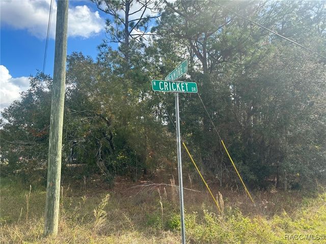 7779 N Cricket Drive, Citrus Springs, FL 34434