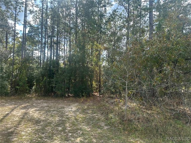 7779 N Cricket Drive, Citrus Springs, FL 34434