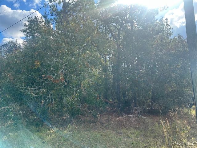 7779 N Cricket Drive, Citrus Springs, FL 34434