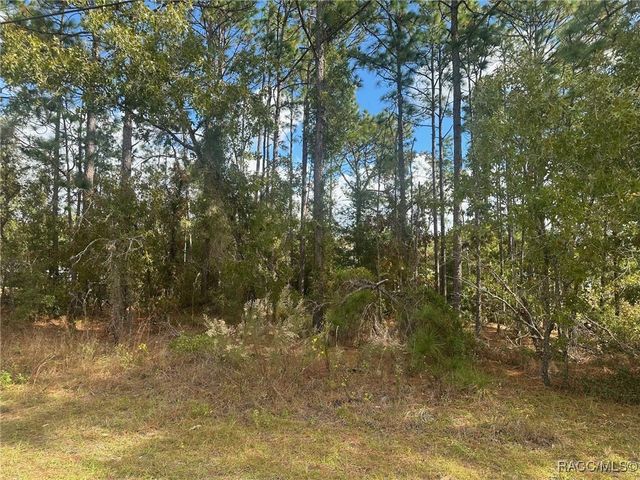 7779 N Cricket Drive, Citrus Springs, FL 34434