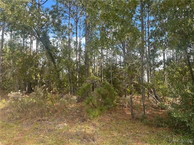 7779 N Cricket Drive, Citrus Springs, FL 34434