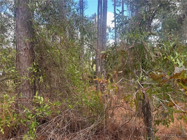 7779 N Cricket Drive, Citrus Springs, FL 34434