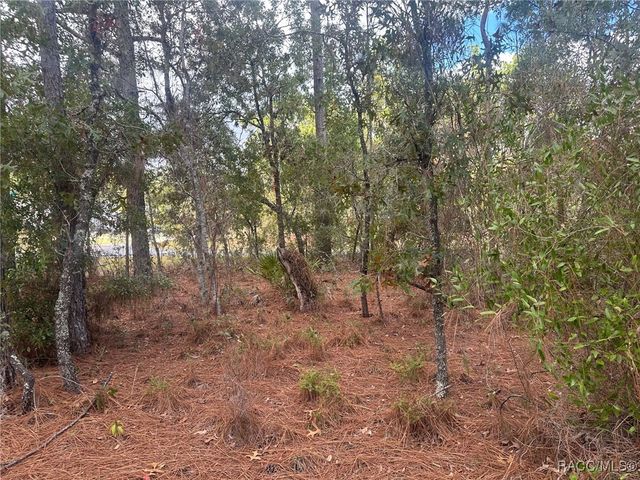 7779 N Cricket Drive, Citrus Springs, FL 34434