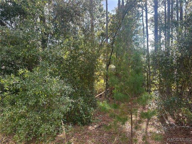 7779 N Cricket Drive, Citrus Springs, FL 34434