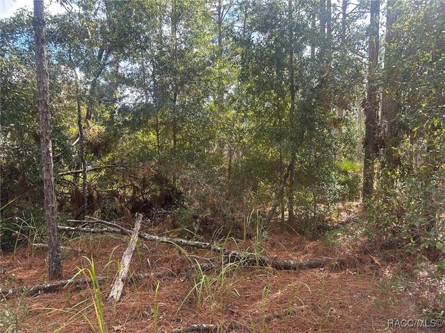 7779 N Cricket Drive, Citrus Springs, FL 34434