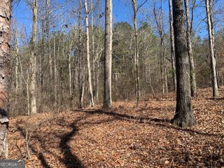 0 Veterans Drive, Danielsville, GA 30633