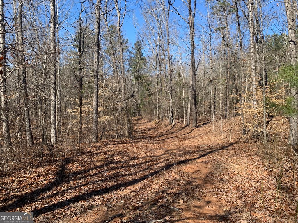 0 Veterans Drive, Danielsville, GA 30633 — photo 2