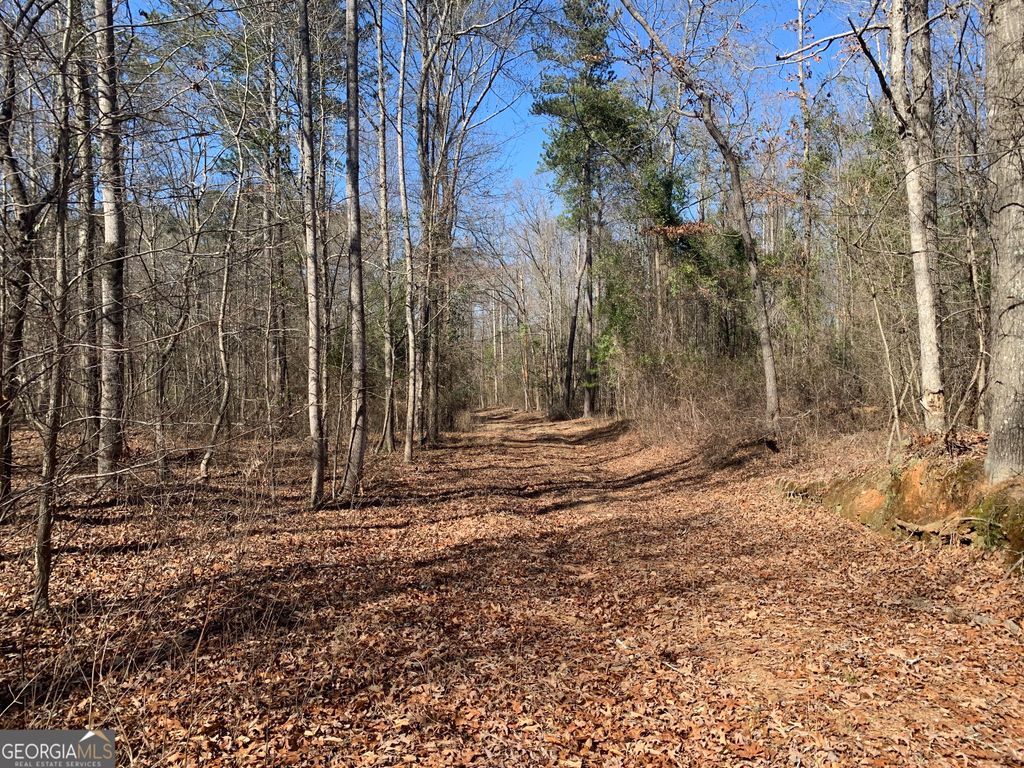 0 Veterans Drive, Danielsville, GA 30633 — photo 3