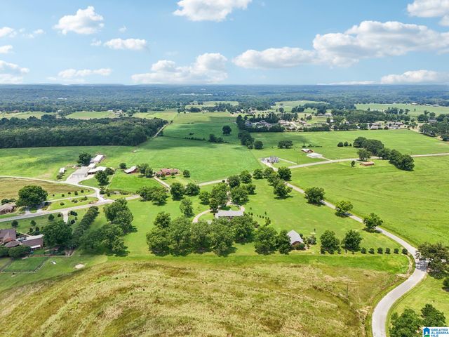 13650 COUNTY ROAD 29, Clanton, AL 35045