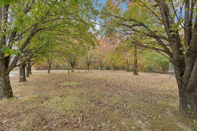 1904 Buffalo Rd, Hohenwald, TN 38462