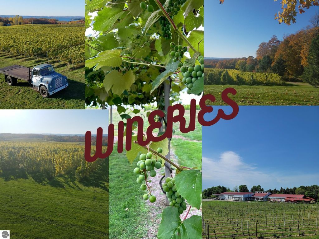 Image 53 of property listing at 9224 E Duck Lake Road, Suttons Bay, MI 49682