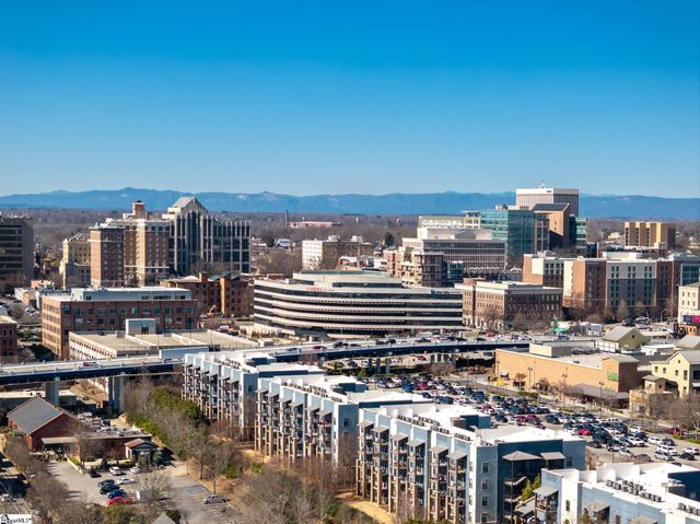 95 Dr. David C Francis Street Unit 206, Greenville, SC 29601