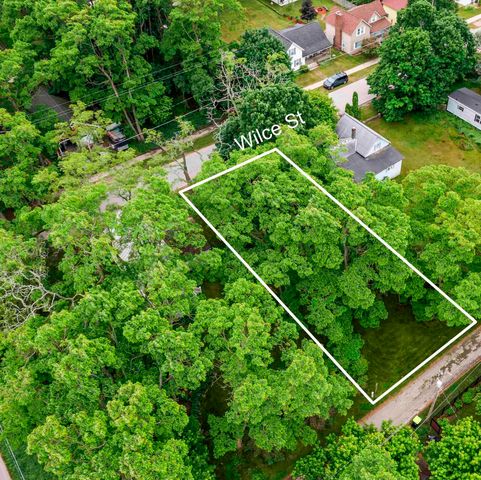 00 W Wilce Street, Empire, MI 49630