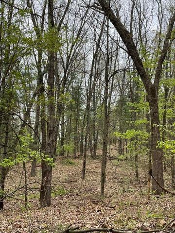 8250 Rum Creek Trail Ne, Cannon Twp, MI 49341