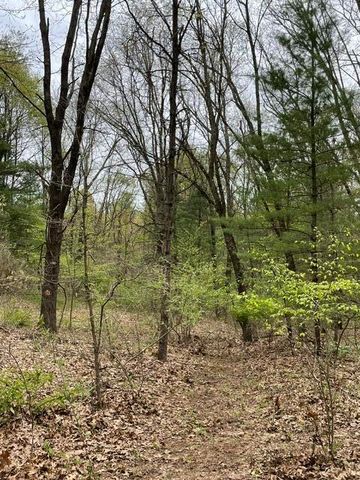 8250 Rum Creek Trail Ne, Cannon Twp, MI 49341