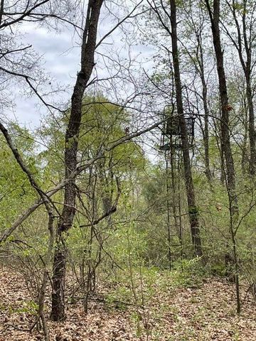 8250 Rum Creek Trail Ne, Cannon Twp, MI 49341