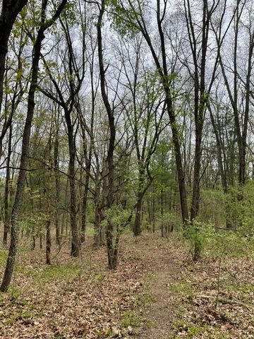 8250 Rum Creek Trail Ne, Cannon Twp, MI 49341