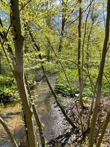 8250 Rum Creek Trail Ne, Cannon Twp, MI 49341