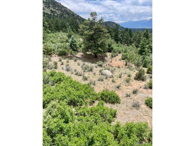 640 Ridgeway Dr, Cotopaxi, CO 81223