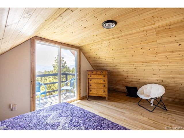 640 Ridgeway Dr, Cotopaxi, CO 81223