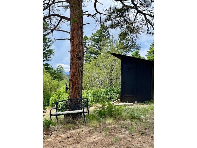 640 Ridgeway Dr, Cotopaxi, CO 81223