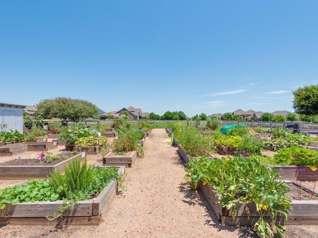 509 Gannet Trail, Argyle, TX 76226