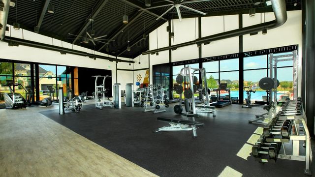 509 Gannet Trail, Argyle, TX 76226