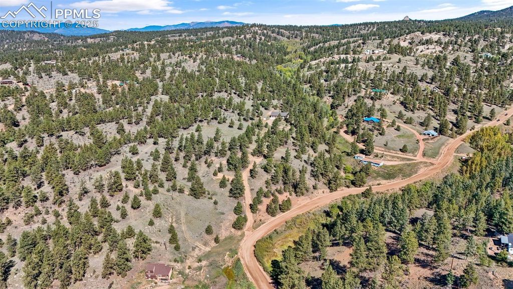 163 Valley View Drive, Florissant, CO 80816 — photo 3