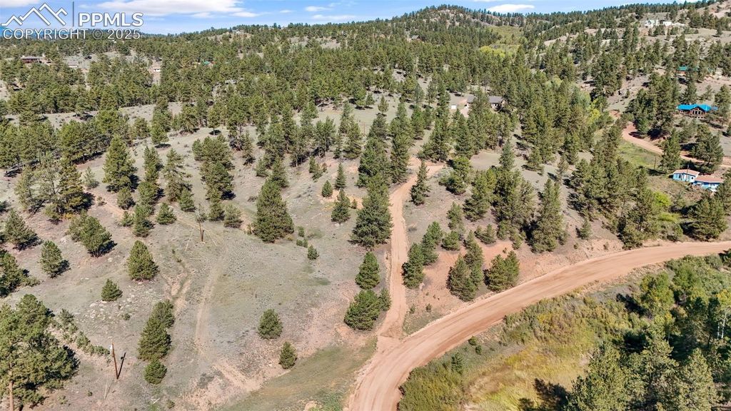 163 Valley View Drive, Florissant, CO 80816 — photo 5