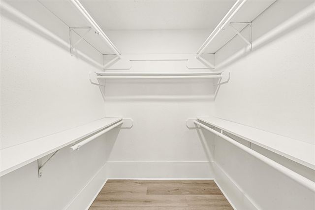 3902 Cedar Gardens Drive, Houston, TX 77082