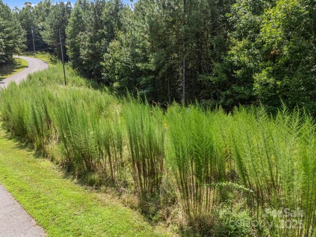 00 Creekside Circle, Rutherfordton, NC 28139