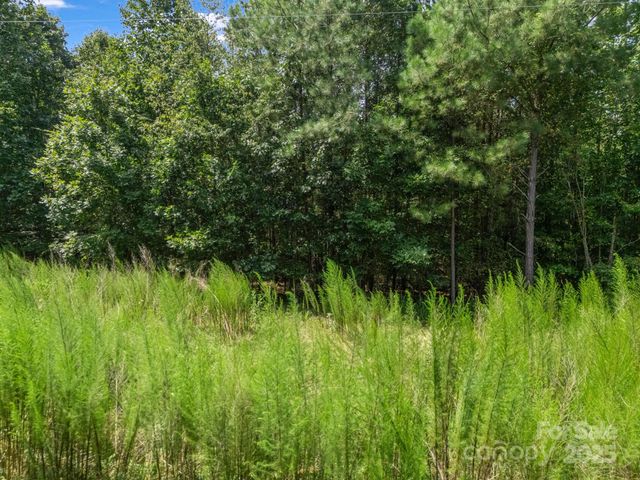 00 Creekside Circle, Rutherfordton, NC 28139
