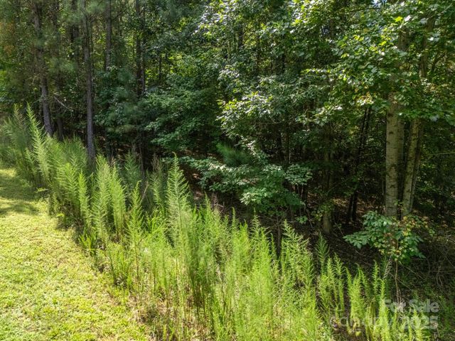 00 Creekside Circle, Rutherfordton, NC 28139