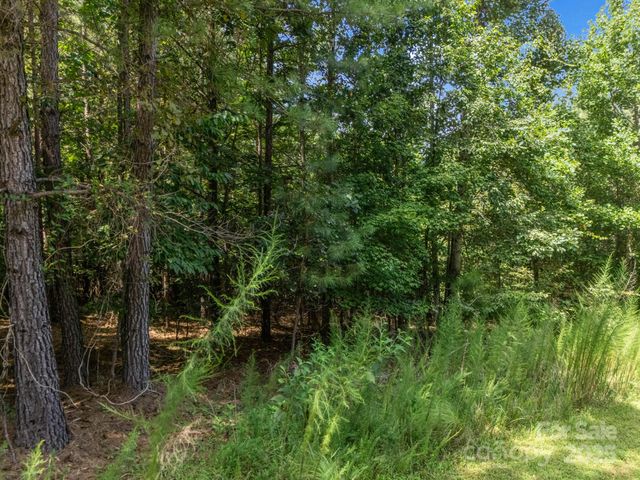 00 Creekside Circle, Rutherfordton, NC 28139