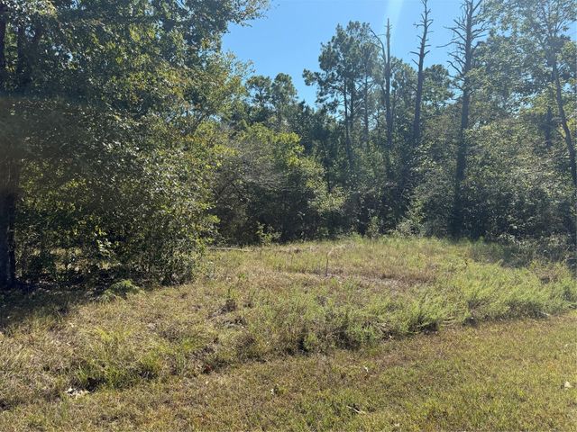 TBD Shadowood 2 Lane, Coldspring, TX 77331