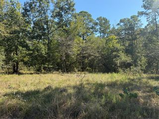 TBD Shadowood 2 Lane, Coldspring, TX 77331