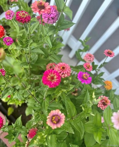 4759 S Hawthorne Street, Englewood, CO 80110