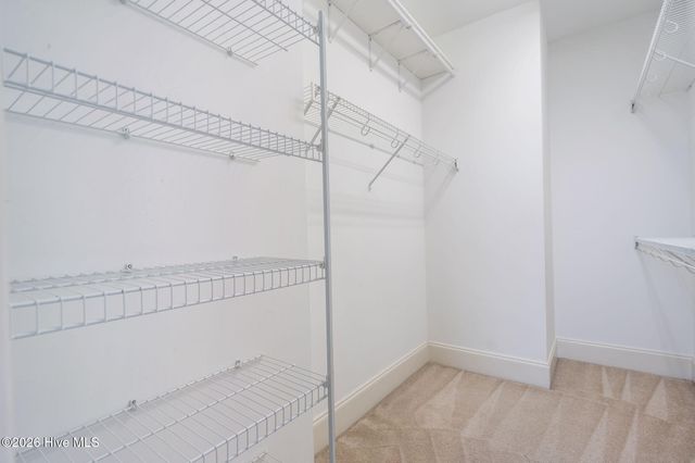 258 Morning View Way, Leland, NC 28451