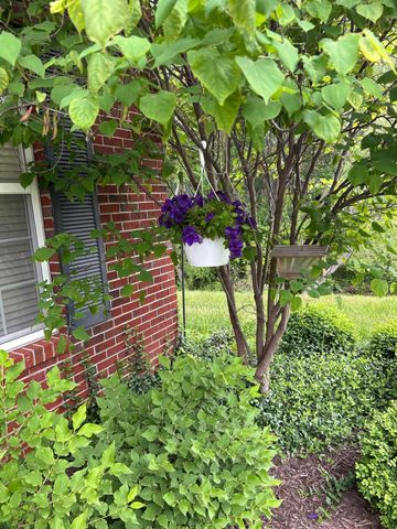 3601 CHAPEL HILL RD, Columbia, MO 65203