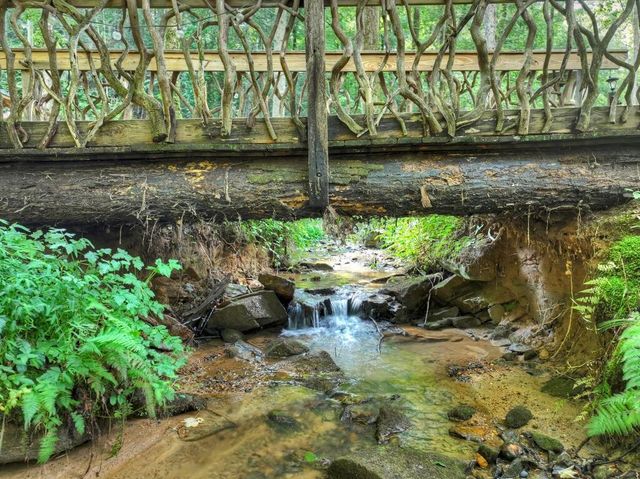685 Chopped Oak Road, Ellijay, GA 30540