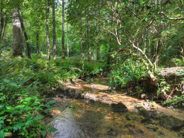 685 Chopped Oak Road, Ellijay, GA 30540